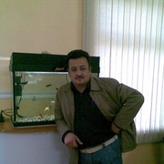  ,   , 50 ,   