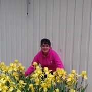  ,   , 65 ,   c 