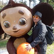 ���������� �����, ���� ������� ����, 40 ���, ������������ ��� ����� � ���������, c�������� ���������, ���������