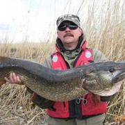  ,  Alex, 41