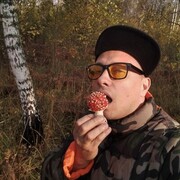 ���������� ������, ���� ������� ������, 37 ���, ������������ ��� ������, ����� � ���������, c�������� ���������, ���������