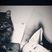 ���������� �����������, ���� ������� ���������, 34 ����, ������������ ��� ������, ����� � ���������, c�������� ���������, ���������