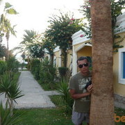  ,   591471589icq, 42 ,   ,   , c 