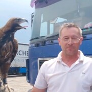  ,   , 51 ,   ,   