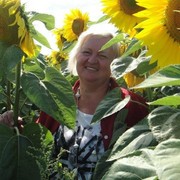 ���������� �����, ���� ������� �����, 64 ����, ������������ ��� ������, ����� � ���������, c�������� ���������