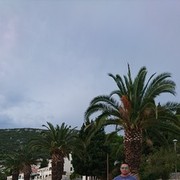 ���������� ������, ���� ������� ��������, 51 ���, ������������ ��� ����� � ���������, c�������� ���������