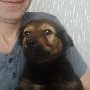 ���������� ������������, ���� ������� ������, 47 ���, ������������ ��� c�������� ���������