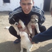  ,   , 32 ,   