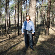 ���������� ��������, ���� ������� ����, 62 ����, ������������ ��� ������, ����� � ���������, c�������� ���������