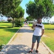 ���������� ����������, ���� ������� �����, 38 ���, ������������ ��� ������, ����� � ���������, c�������� ���������