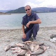  Liscate,   , 40 ,   ,   , c 