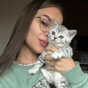 ���������� �������, �����