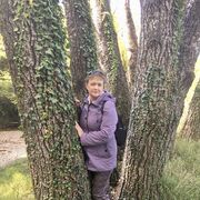 ���������� �����������, ���� ������� �����, 55 ���, ������������ ��� ����� � ���������, c�������� ���������