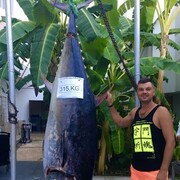 ���������� �������, ���� ������� ������, 41 ���, ������������ ��� ������, ����� � ���������