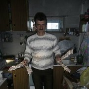  ,   , 58 ,   