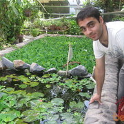 ���������� ���������, ���� ������� �����, 36 ���, ������������ 