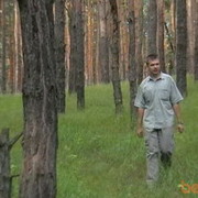 ���������� ����������, ���� ������� ������, 40 ���, ������������ ��� ������