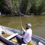 ���������� ���������, ���� ������� ����, 41 ���, ������������ ��� ������, ����� � ���������