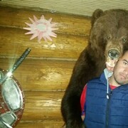 ���������� ����������, ���� ������� ����, 37 ���, ������������ ��� ������, ����� � ���������