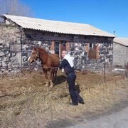 ,   Andranik, 54 ,     , c 