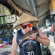 ���������� ��������, ���� ������� MaxiM, 35 ���, ������������ ��� ������, ����� � ���������