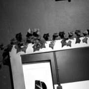  ,   , 18 ,   ,   , 