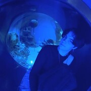 ���������� �����������, ���� ������� �����, 21 ���, ������������ ��� ������, ����� � ���������