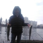 ���������� �����������, ���� ������� �����, 41 ���, ������������ ��� ������, ����� � ���������, c�������� ���������, ���������