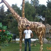 ���������� ����, ���� ������� Ibrahim, 35 ���, ������������ ��� ������