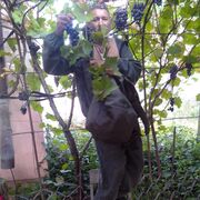  ,   , 37 ,   ,   , c , 