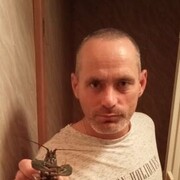 ���������� ����, ���� ������� �����, 45 ���, ������������ ��� c�������� ���������, ���������