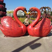  ,   , 54 ,   c 