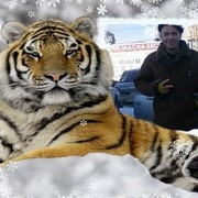 ���������� ���������, ���� ������� �����, 104 ����, ������������ ��� ������