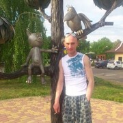 ���������� ���������, ������� �������, 43