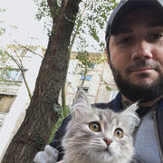 ���������� ������, ���� ������� ����, 42 ����, ������������ ��� ������, ����� � ���������