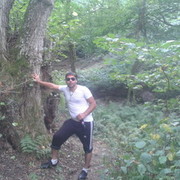  ,   Joka, 33 ,   