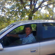  ,   Slavaesartia, 51 ,   
