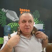  -,   , 52 ,   ,   , 