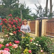 ���������� ������������, ���� ������� ������, 59 ���, ������������ ��� ����� � ���������, c�������� ���������