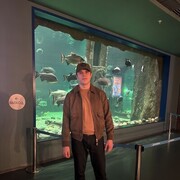 ���������� ������, ���� ������� ������, 27 ���, ������������ ��� ������, ����� � ���������