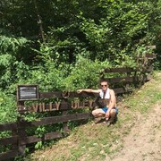 ���������� ����, ���� ������� ������������, 37 ���, ������������ ��� ������, ����� � ���������, c�������� ���������, ���������