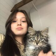 ���������� ������, ���� ������� �����, 23 ����, ������������ ��� ������, ����� � ���������