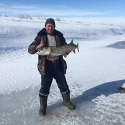 ���������� ��������, ���� ������� �������, 43 ����, ������������ ��� ������, ����� � ���������, c�������� ���������, ���������