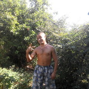  ,   , 41 ,     , c 