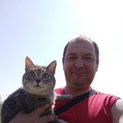  ,   , 50 ,   c 
