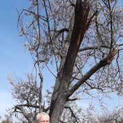 ���������� ������������, ���� ������� �������, 55 ���, ������������ ��� ������, ����� � ���������, c�������� ���������