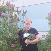 ���������� ����, ���� ������� �������, 56 ���, ������������ ��� ������, ����� � ���������