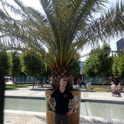  ,   , 33 ,   ,   , c 