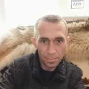 ���������� �������, ���� ������� ��������, 46 ���, ������������ ��� c�������� ���������