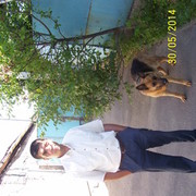  ,   , 58 ,   